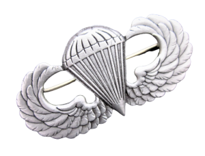 speldjes - pins